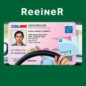 renovação automática da CNH digital